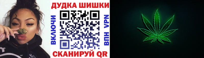 Кодеин Мышкин