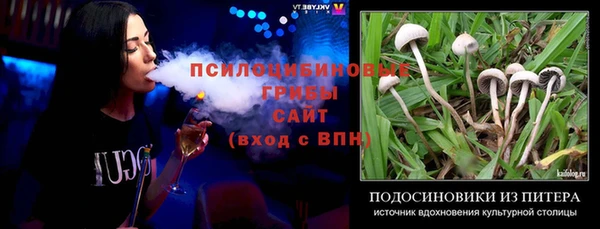 первитин Бородино
