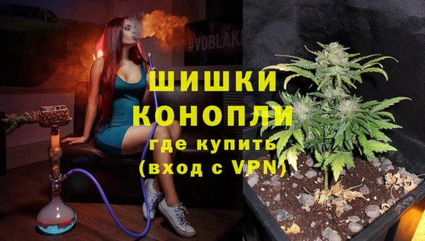 мдпв Бронницы