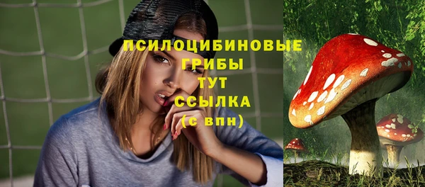 бутират Тайга