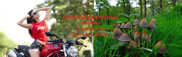 ALPHA-PVP Богородицк